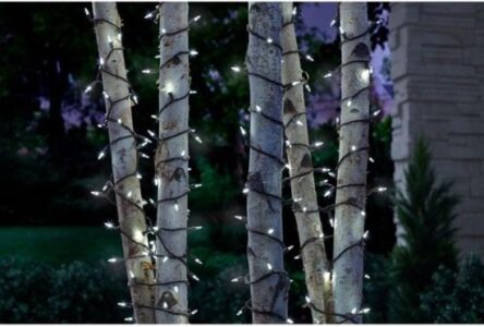 Solar Powered String Lights on Trees